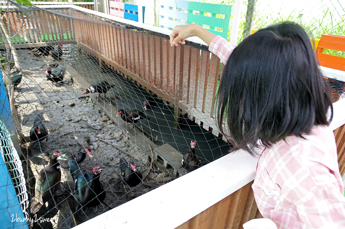 宜蘭員山親子景點》可達休閒羊場～免門票 超便宜餵動物農場～100 元可以餵羊喝奶吃草、餵雞、餵鴨、餵鵝、餵兔子、餵自己，還有羊奶冰淇淋 DIY｜宜蘭免費景點 @兔兒毛毛姊妹花