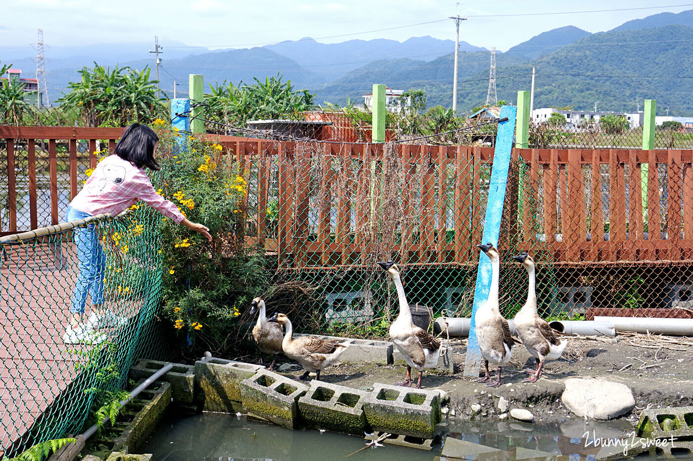 宜蘭員山親子景點》可達休閒羊場～免門票 超便宜餵動物農場～100 元可以餵羊喝奶吃草、餵雞、餵鴨、餵鵝、餵兔子、餵自己，還有羊奶冰淇淋 DIY｜宜蘭免費景點 @兔兒毛毛姊妹花