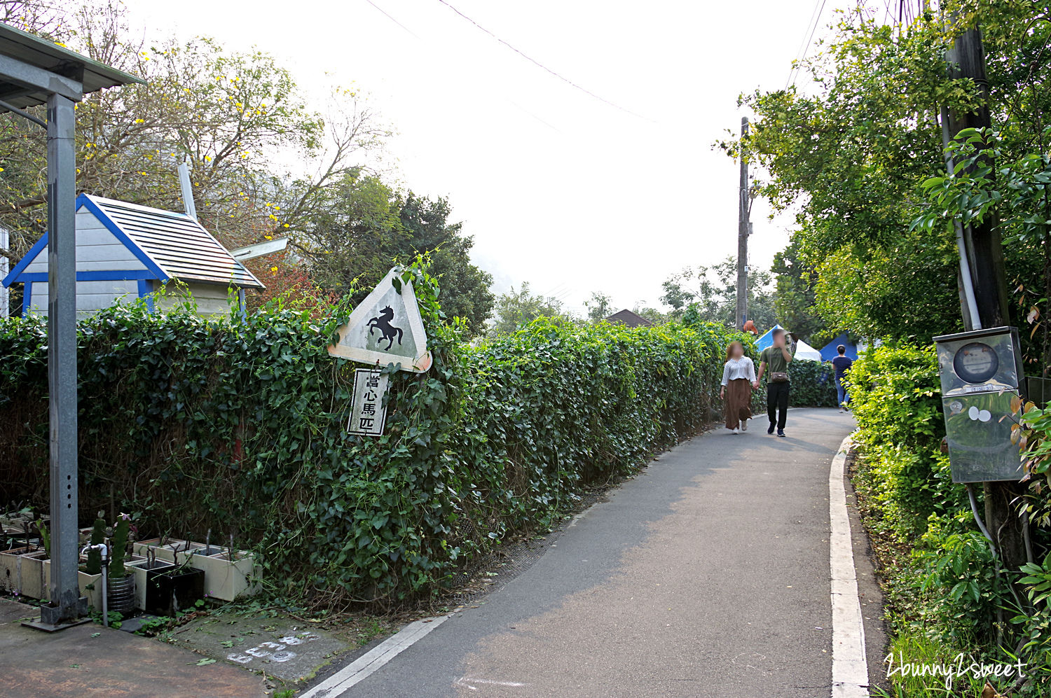 台中石岡親子景點》京葉馬場兔樂園～餵馬、餵羊、餵豬、餵滿地的天竺鼠和兔兔，還能摟著駝鳥拍照｜台中休閒農場推薦｜台中親子餵動物好去處 @兔兒毛毛姊妹花