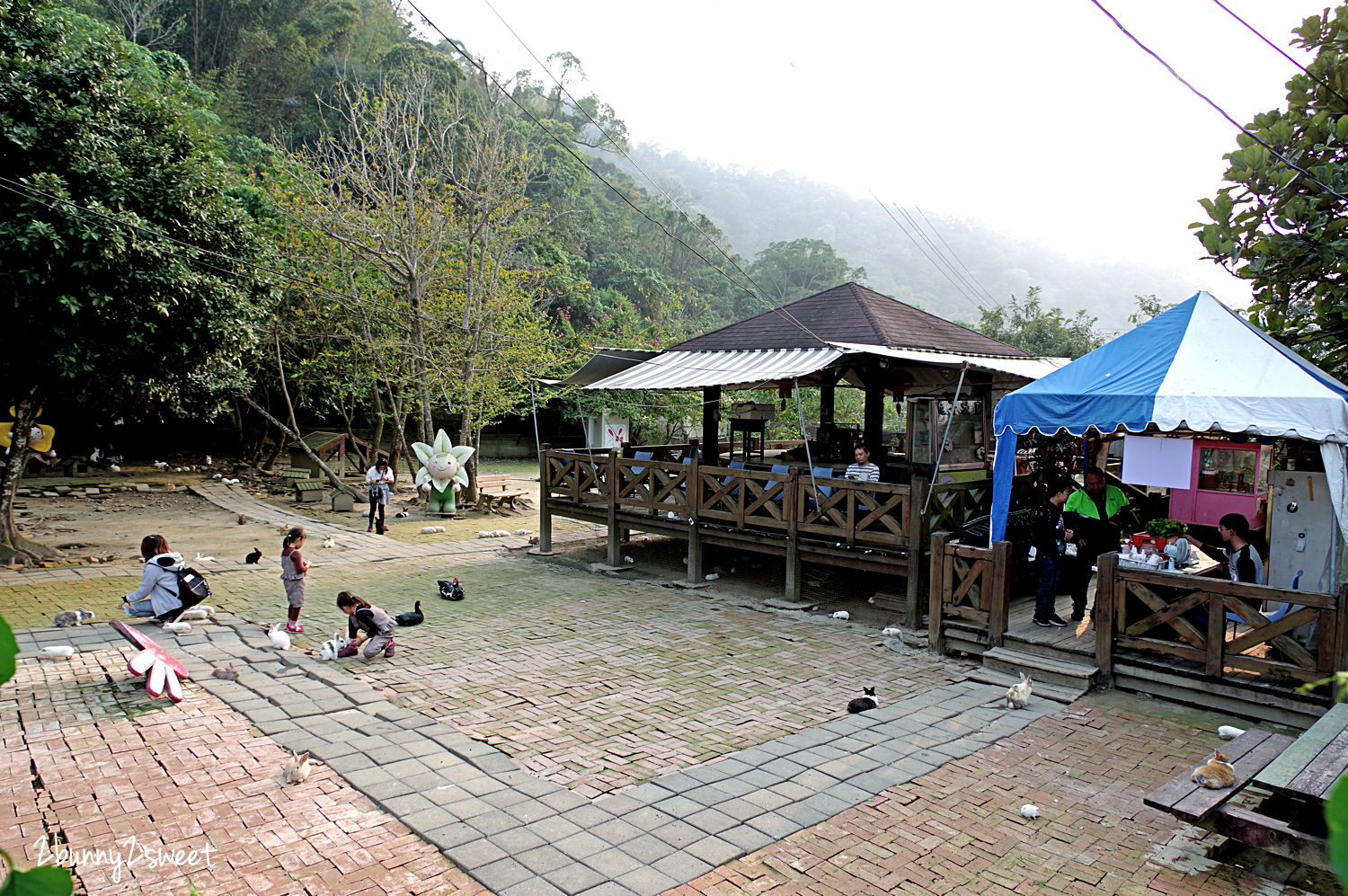 台中石岡親子景點》京葉馬場兔樂園～餵馬、餵羊、餵豬、餵滿地的天竺鼠和兔兔，還能摟著駝鳥拍照｜台中休閒農場推薦｜台中親子餵動物好去處 @兔兒毛毛姊妹花