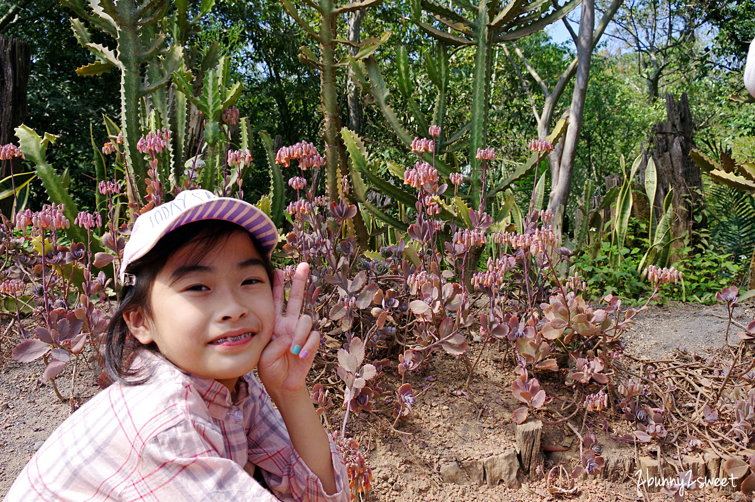 新竹北埔親子景點》綠世界生態農場～和草泥馬在草地散步、近距離欣賞可愛小動物、繽紛鳥兒在頭頂飛舞～可以認識好多動物、植物、昆蟲的大型生態農場，全家休閒好去處｜新竹一日遊景點 @兔兒毛毛姊妹花