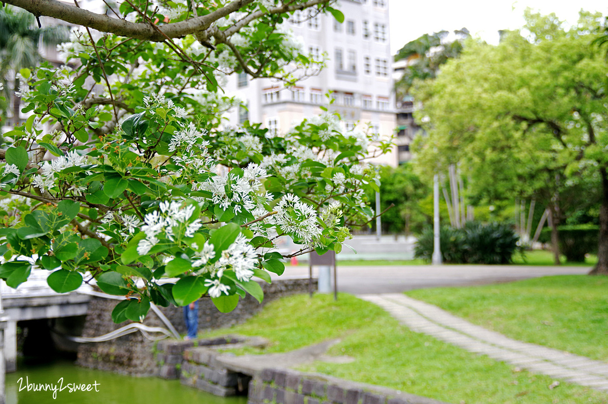 台北內湖一日遊》週末來去戶外走走～走吊橋、採草莓、玩公園，喝雞湯~台北市郊踏青好去處 &#038; 好好食房雞湯專賣店美食推薦｜內湖一日遊行程｜內湖一日遊地圖 @兔兒毛毛姊妹花