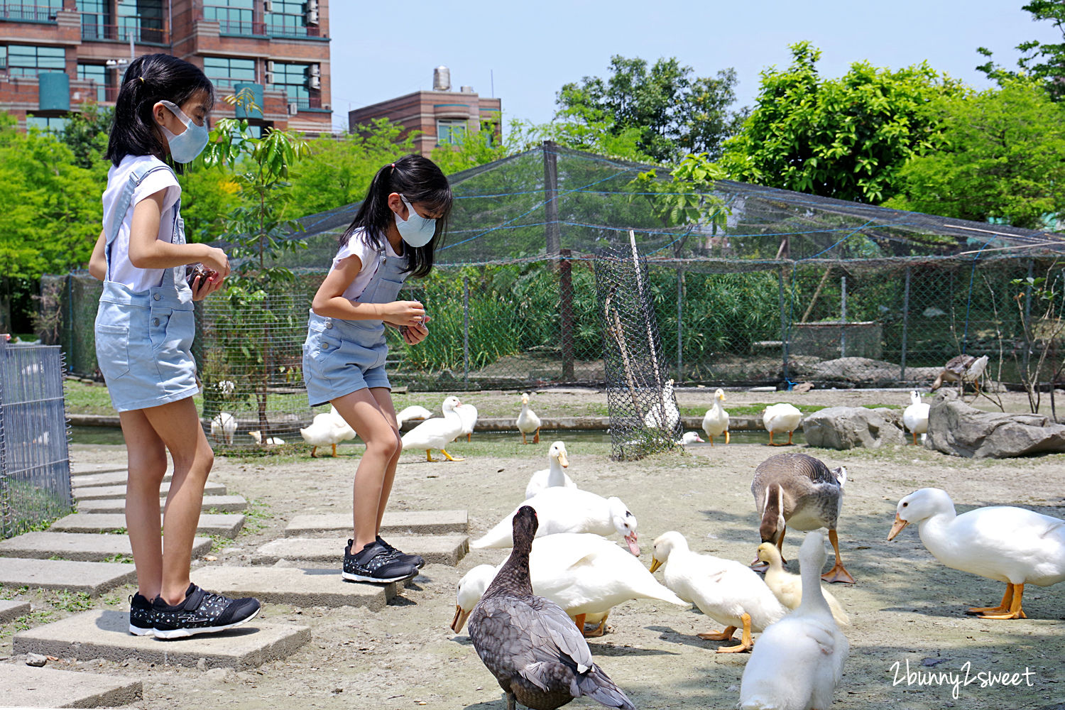 宜蘭親子景點》鴨寮故事館～超佛心、超乾淨餵動物景點，還有鹹鴨蛋 DIY、鴨賞披薩 DIY、生態導覽、吃鴨賞飯 @兔兒毛毛姊妹花