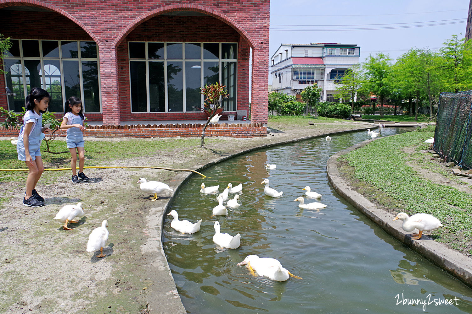 宜蘭親子景點》鴨寮故事館～超佛心、超乾淨餵動物景點，還有鹹鴨蛋 DIY、鴨賞披薩 DIY、生態導覽、吃鴨賞飯 @兔兒毛毛姊妹花