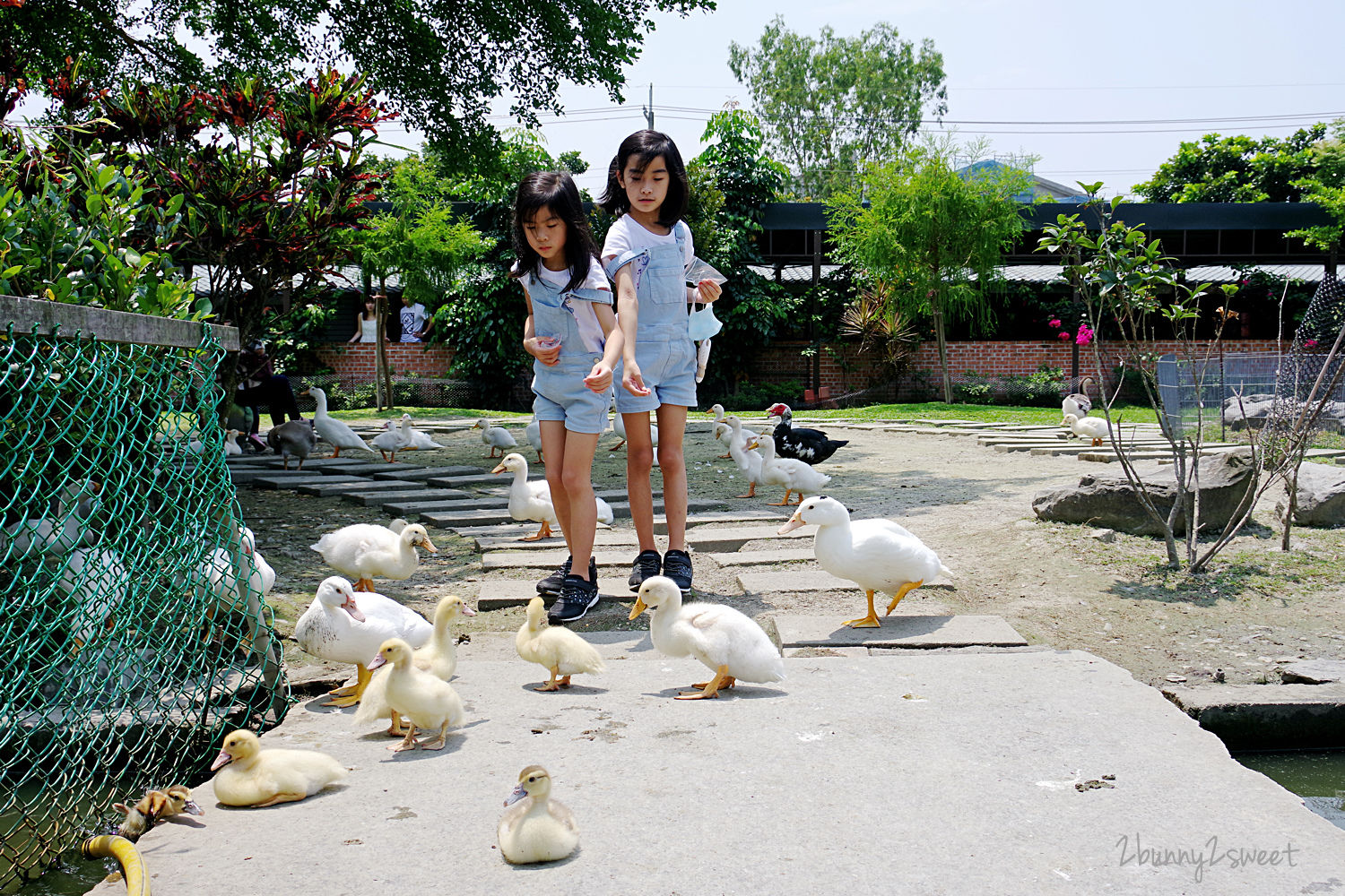 宜蘭親子景點》鴨寮故事館～超佛心、超乾淨餵動物景點，還有鹹鴨蛋 DIY、鴨賞披薩 DIY、生態導覽、吃鴨賞飯 @兔兒毛毛姊妹花