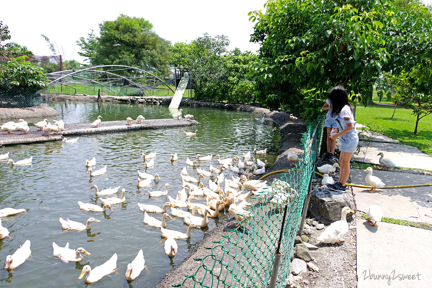 宜蘭親子景點》鴨寮故事館～超佛心、超乾淨餵動物景點，還有鹹鴨蛋 DIY、鴨賞披薩 DIY、生態導覽、吃鴨賞飯 @兔兒毛毛姊妹花