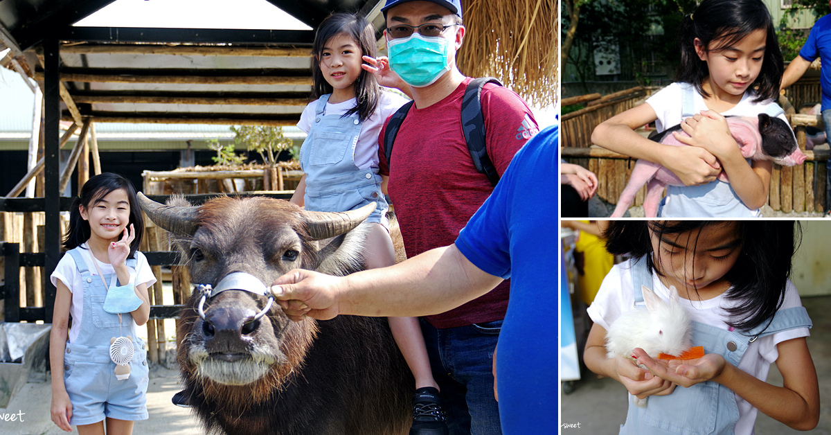 宜蘭動物農場｜超過20個宜蘭餵動物好地方，來和可愛動物親密互動吧～ @兔兒毛毛姊妹花