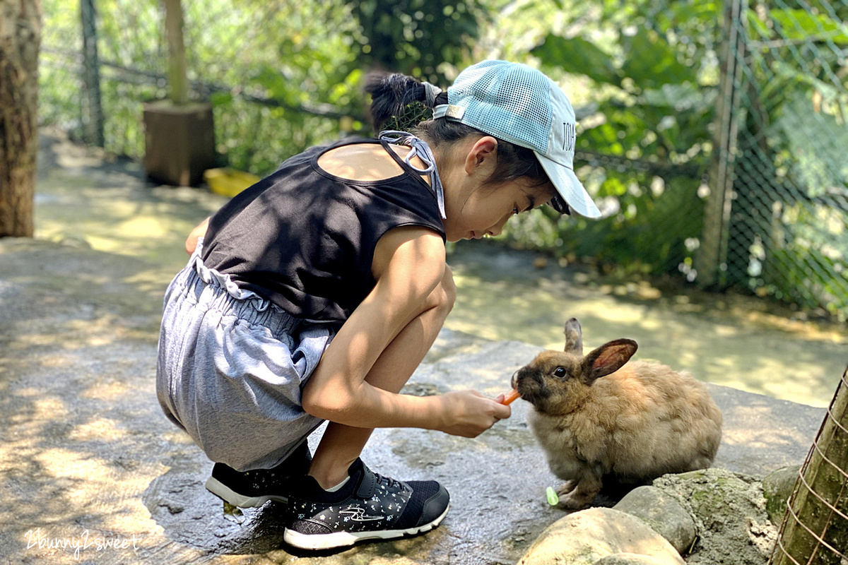 新北八里親子餐廳》桃樂絲森林｜穀興農場~免門票!! 山坡滑梯、鞦韆、沙坑、大草皮隨你玩，還能近距離餵食兔兔、羊咩咩，享用特色柚香、竹筍料理，玩彩繪、手拉胚 DIY~結合景觀餐廳的生態農場｜八里免費景點｜八里一日遊景點推薦 @兔兒毛毛姊妹花