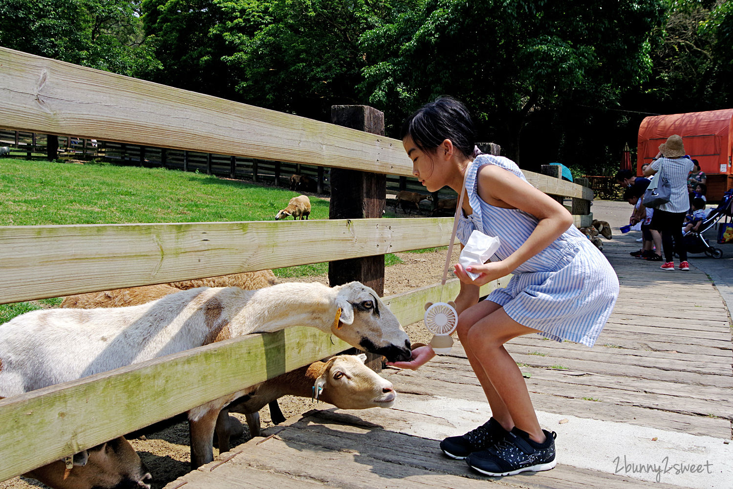 飛牛牧場｜苗栗通宵親子農場餵動物、騎馬、擠牛奶，還有牽引機溜滑梯、挖土機沙坑遊戲區 @兔兒毛毛姊妹花