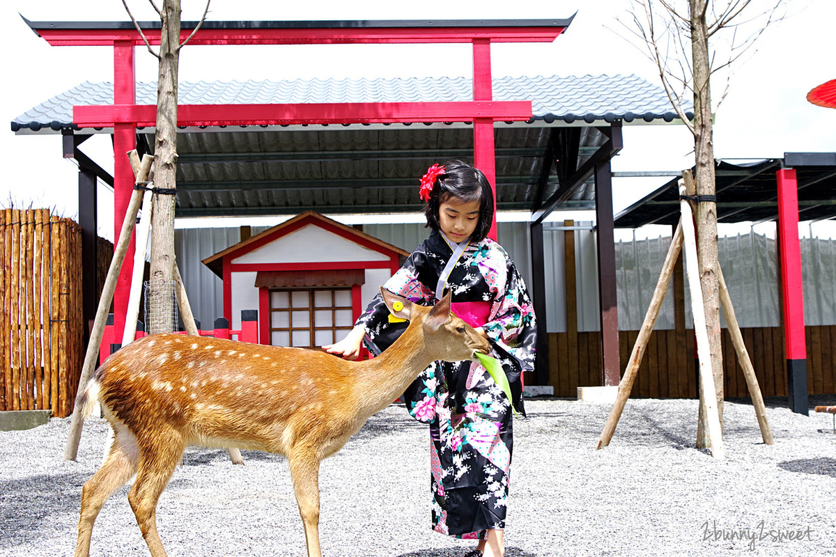 宜蘭親子景點》張美阿嬤農場～全台唯一能穿和服在日式庭園裡餵梅花鹿、水豚君的農場!! 另有 DIY 及農村體驗活動可報名｜停車場｜收費方式｜預約報名表連結|三星一日遊 @兔兒毛毛姊妹花