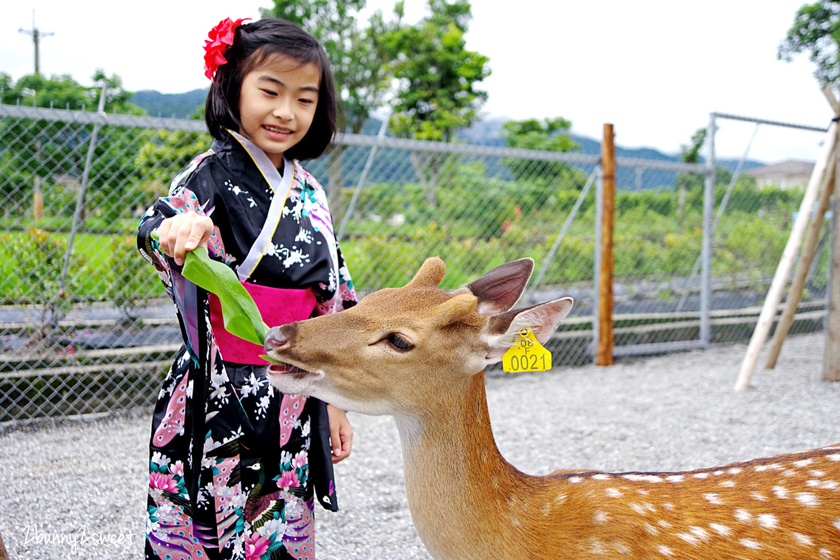 宜蘭親子景點》張美阿嬤農場～全台唯一能穿和服在日式庭園裡餵梅花鹿、水豚君的農場!! 另有 DIY 及農村體驗活動可報名｜停車場｜收費方式｜預約報名表連結|三星一日遊 @兔兒毛毛姊妹花