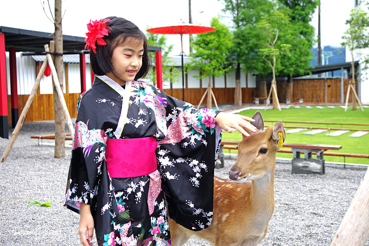 宜蘭親子景點》張美阿嬤農場～全台唯一能穿和服在日式庭園裡餵梅花鹿、水豚君的農場!! 另有 DIY 及農村體驗活動可報名｜停車場｜收費方式｜預約報名表連結|三星一日遊 @兔兒毛毛姊妹花