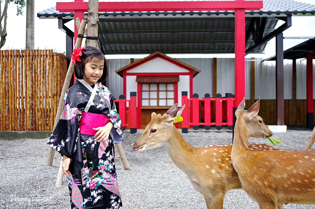 宜蘭親子景點》張美阿嬤農場～全台唯一能穿和服在日式庭園裡餵梅花鹿、水豚君的農場!! 另有 DIY 及農村體驗活動可報名｜停車場｜收費方式｜預約報名表連結|三星一日遊 @兔兒毛毛姊妹花