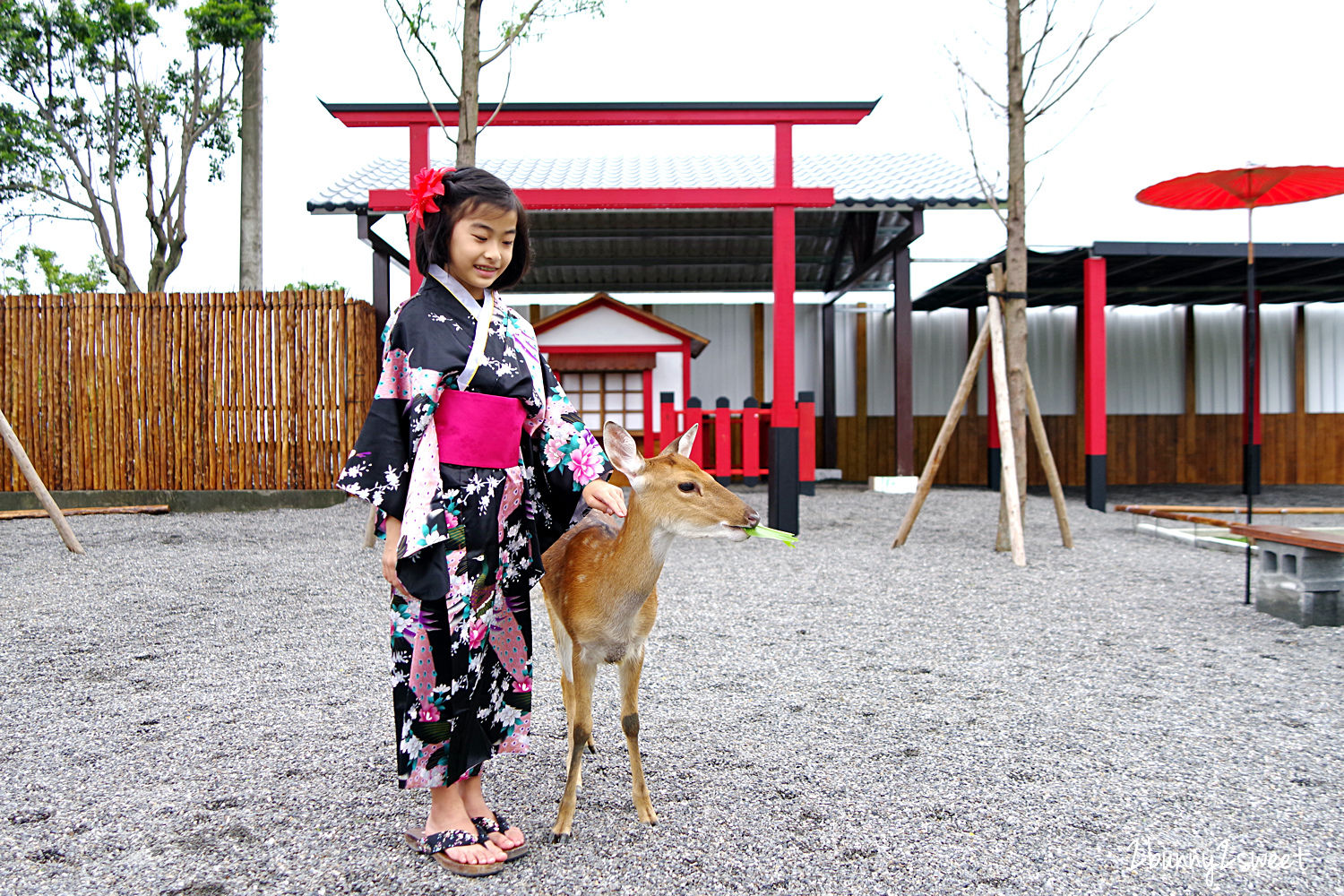 宜蘭親子景點》張美阿嬤農場～全台唯一能穿和服在日式庭園裡餵梅花鹿、水豚君的農場!! 另有 DIY 及農村體驗活動可報名｜停車場｜收費方式｜預約報名表連結|三星一日遊 @兔兒毛毛姊妹花