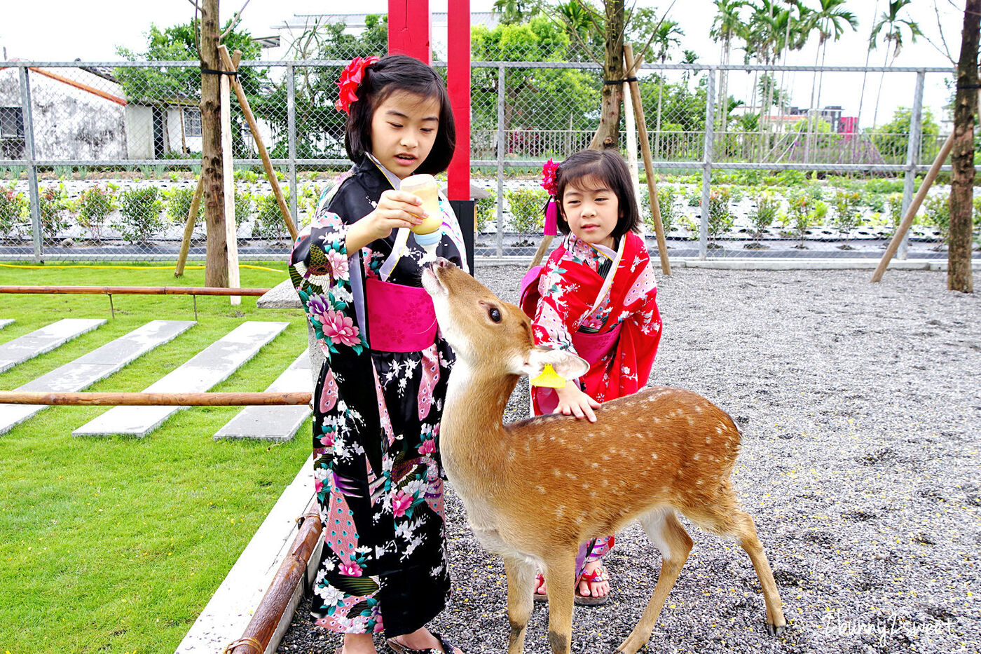 宜蘭親子景點》張美阿嬤農場～全台唯一能穿和服在日式庭園裡餵梅花鹿、水豚君的農場!! 另有 DIY 及農村體驗活動可報名｜停車場｜收費方式｜預約報名表連結|三星一日遊 @兔兒毛毛姊妹花