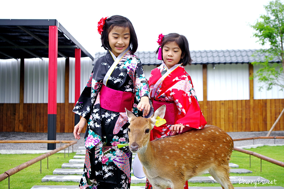 宜蘭親子景點》張美阿嬤農場～全台唯一能穿和服在日式庭園裡餵梅花鹿、水豚君的農場!! 另有 DIY 及農村體驗活動可報名｜停車場｜收費方式｜預約報名表連結|三星一日遊 @兔兒毛毛姊妹花