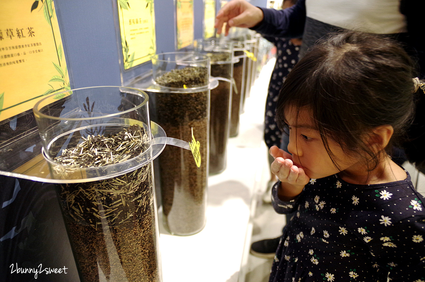 南投名間景點》茶二指故事館～茶園裡盪鞦韆、戲水、玩沙 x 巨大珍奶裝飾藝術好好拍 x 打卡送珍珠奶茶～適合全家大小溜搭的茶園｜南投一日遊景點 @兔兒毛毛姊妹花