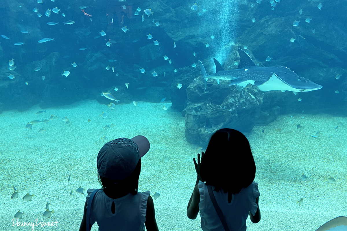 Xpark 水族館｜桃園景點～橫濱八景島跨海打造全台首座都會型水生公園 @兔兒毛毛姊妹花