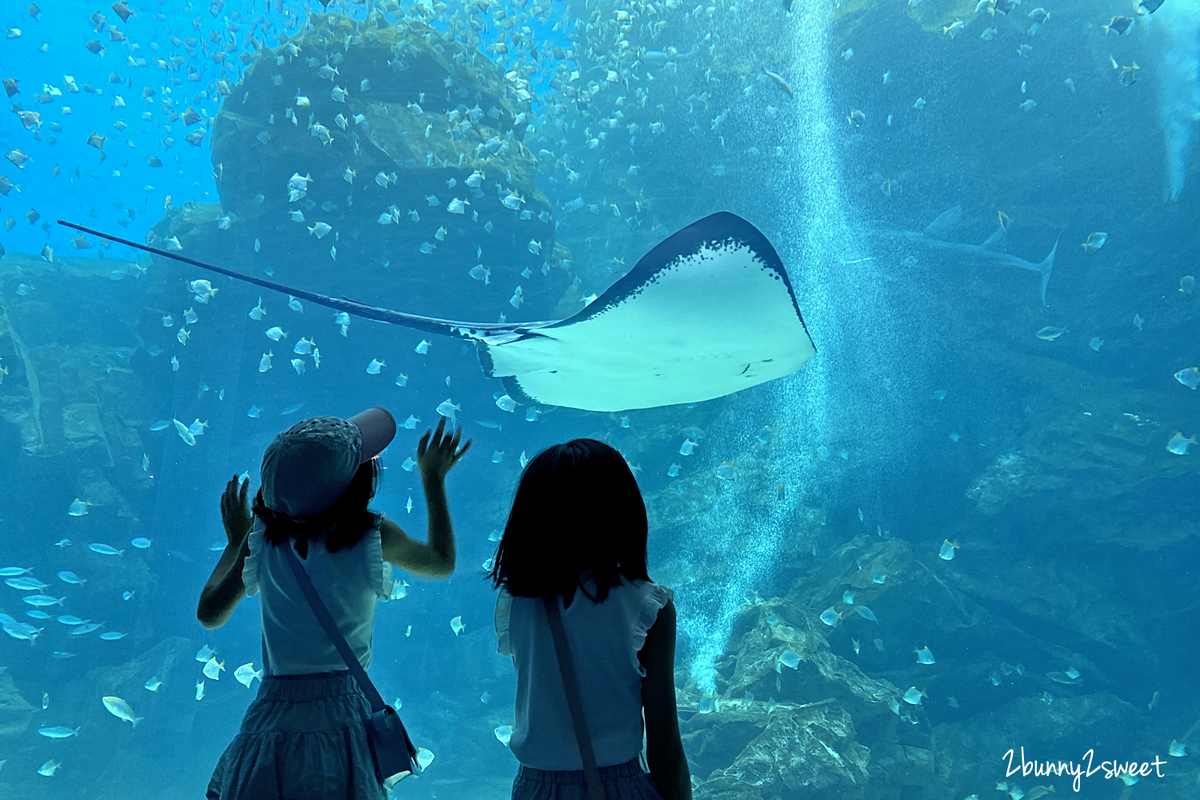 Xpark 水族館｜桃園景點～橫濱八景島跨海打造全台首座都會型水生公園 @兔兒毛毛姊妹花