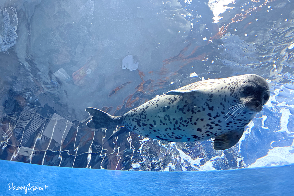 Xpark 水族館｜桃園景點～橫濱八景島跨海打造全台首座都會型水生公園 @兔兒毛毛姊妹花