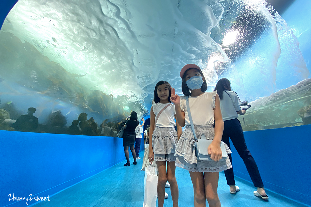 Xpark 水族館｜桃園景點～橫濱八景島跨海打造全台首座都會型水生公園 @兔兒毛毛姊妹花