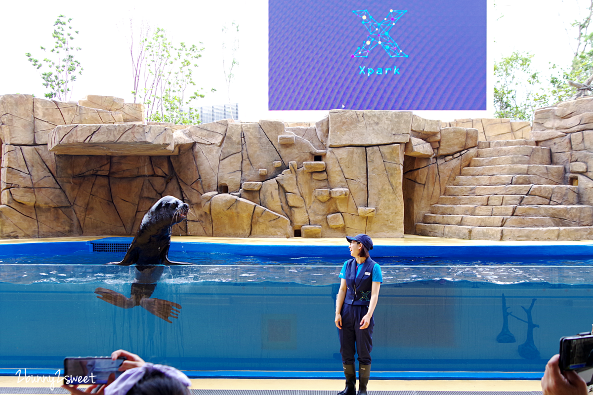 Xpark 水族館｜桃園景點～橫濱八景島跨海打造全台首座都會型水生公園 @兔兒毛毛姊妹花