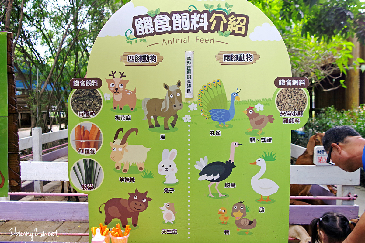 樹谷農場｜台南景點超高 CP 值小農場～60 元門票附飼料餵食小動物，還有樹屋溜滑梯 @兔兒毛毛姊妹花