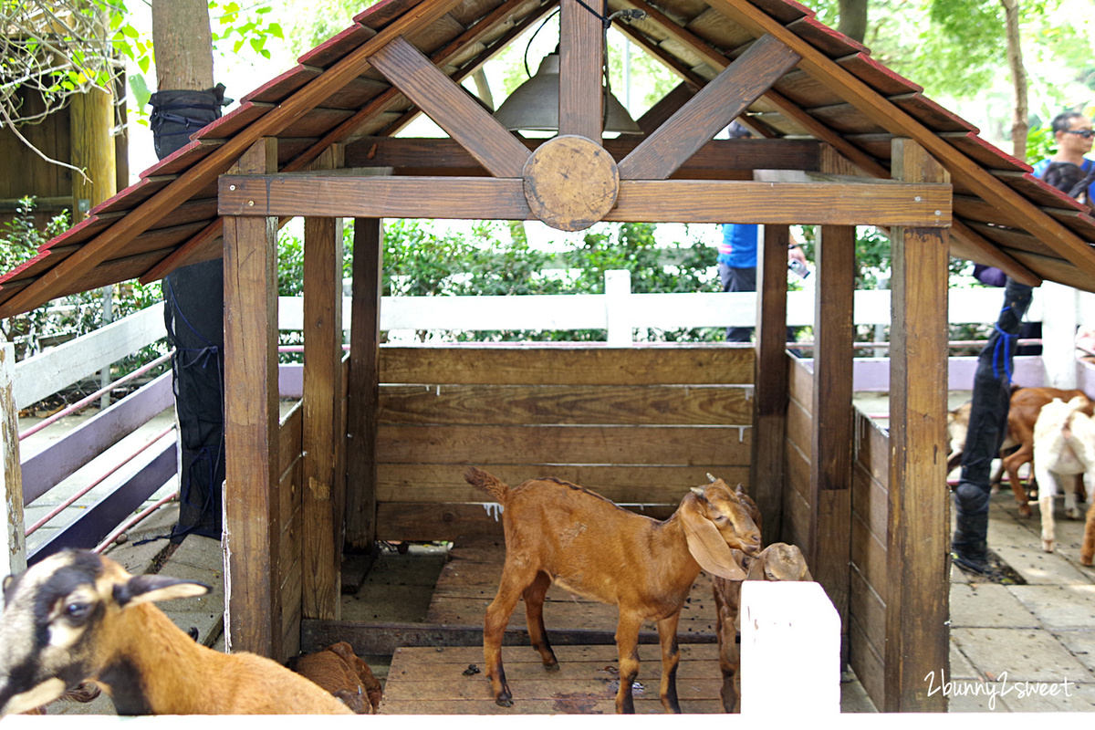 樹谷農場｜台南景點超高 CP 值小農場～60 元門票附飼料餵食小動物，還有樹屋溜滑梯 @兔兒毛毛姊妹花