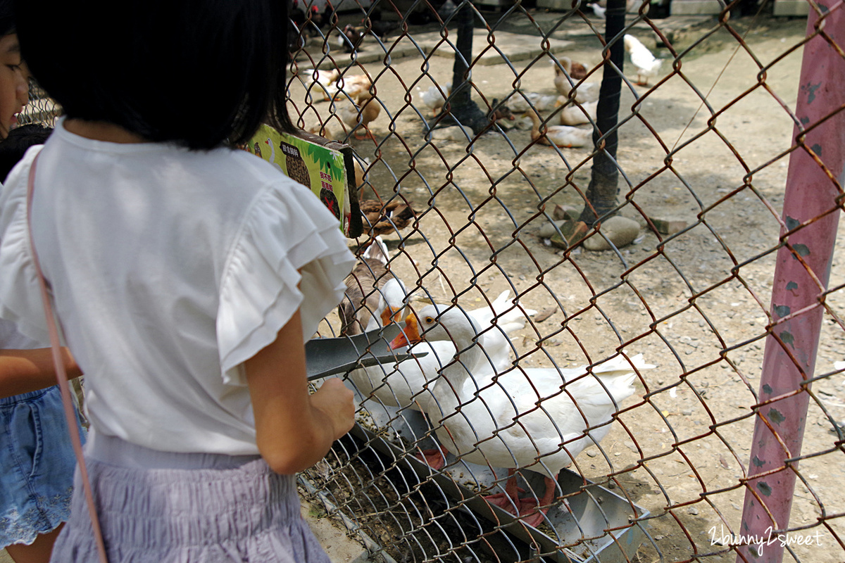 樹谷農場｜台南景點超高 CP 值小農場～60 元門票附飼料餵食小動物，還有樹屋溜滑梯 @兔兒毛毛姊妹花