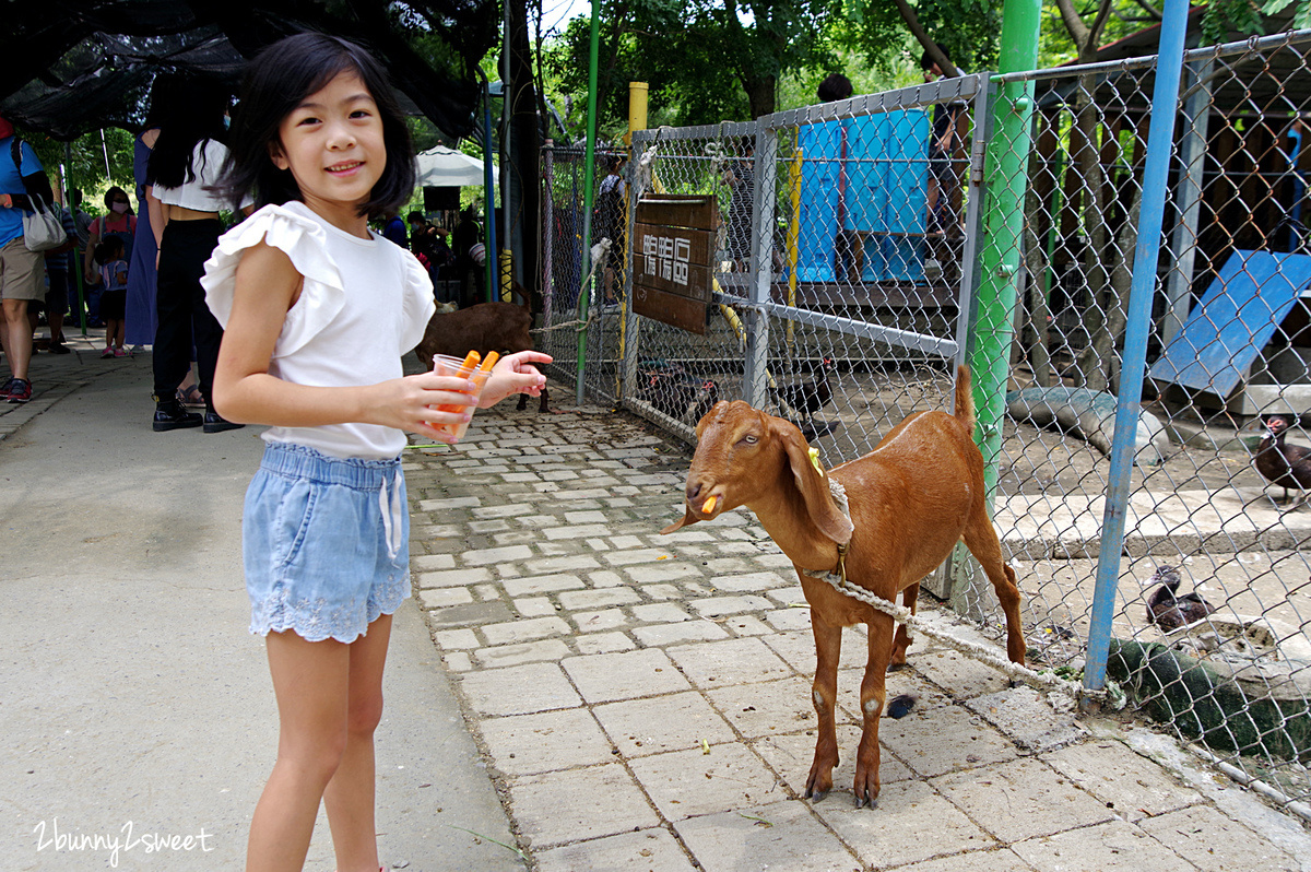 樹谷農場｜台南景點超高 CP 值小農場～60 元門票附飼料餵食小動物，還有樹屋溜滑梯 @兔兒毛毛姊妹花