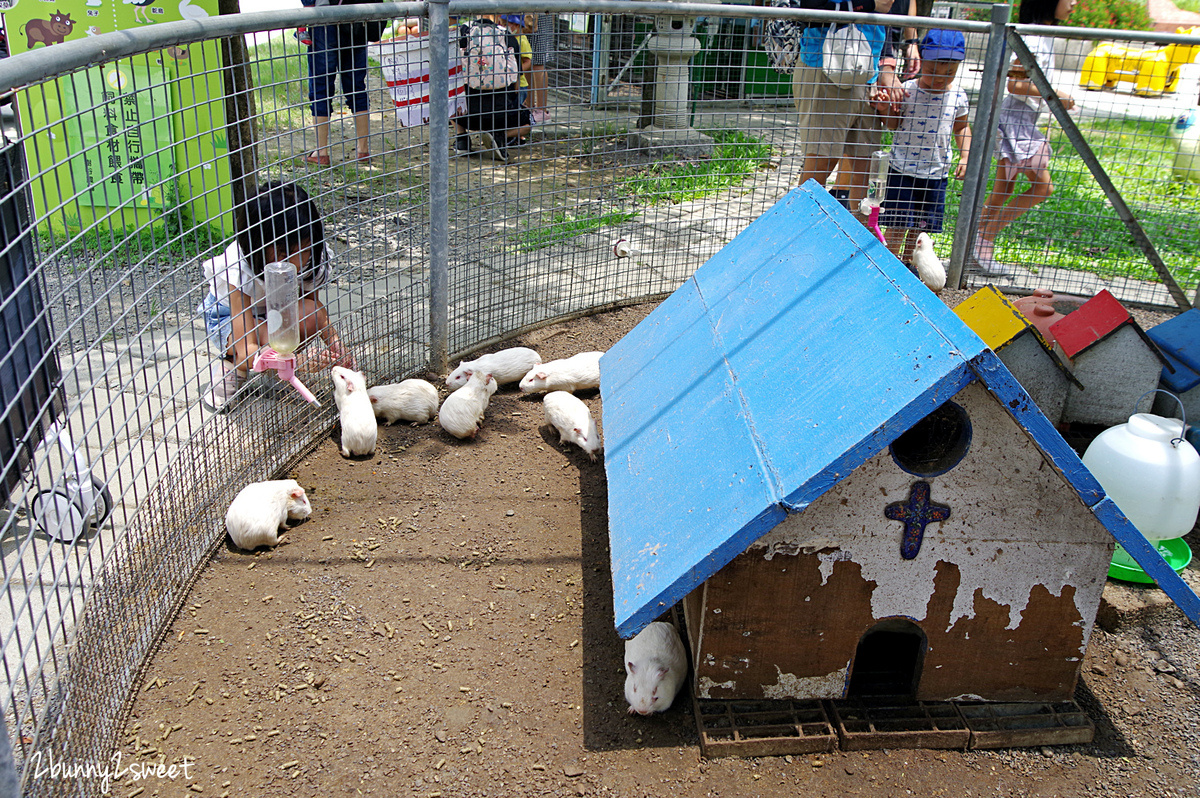 樹谷農場｜台南景點超高 CP 值小農場～60 元門票附飼料餵食小動物，還有樹屋溜滑梯 @兔兒毛毛姊妹花