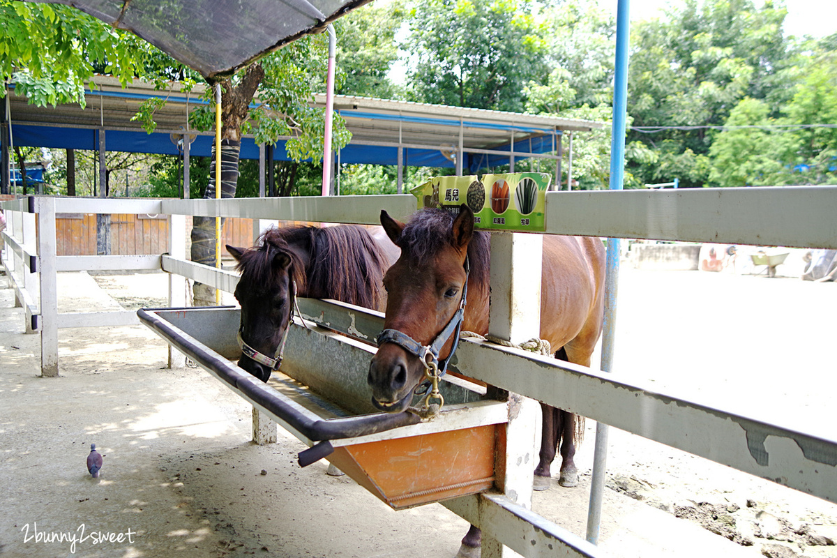 樹谷農場｜台南景點超高 CP 值小農場～60 元門票附飼料餵食小動物，還有樹屋溜滑梯 @兔兒毛毛姊妹花