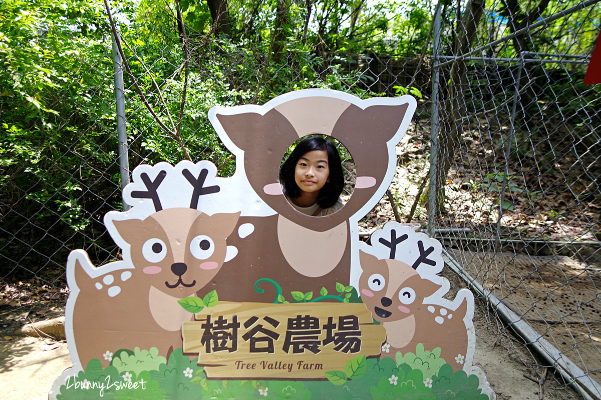 樹谷農場｜台南景點超高 CP 值小農場～60 元門票附飼料餵食小動物，還有樹屋溜滑梯 @兔兒毛毛姊妹花