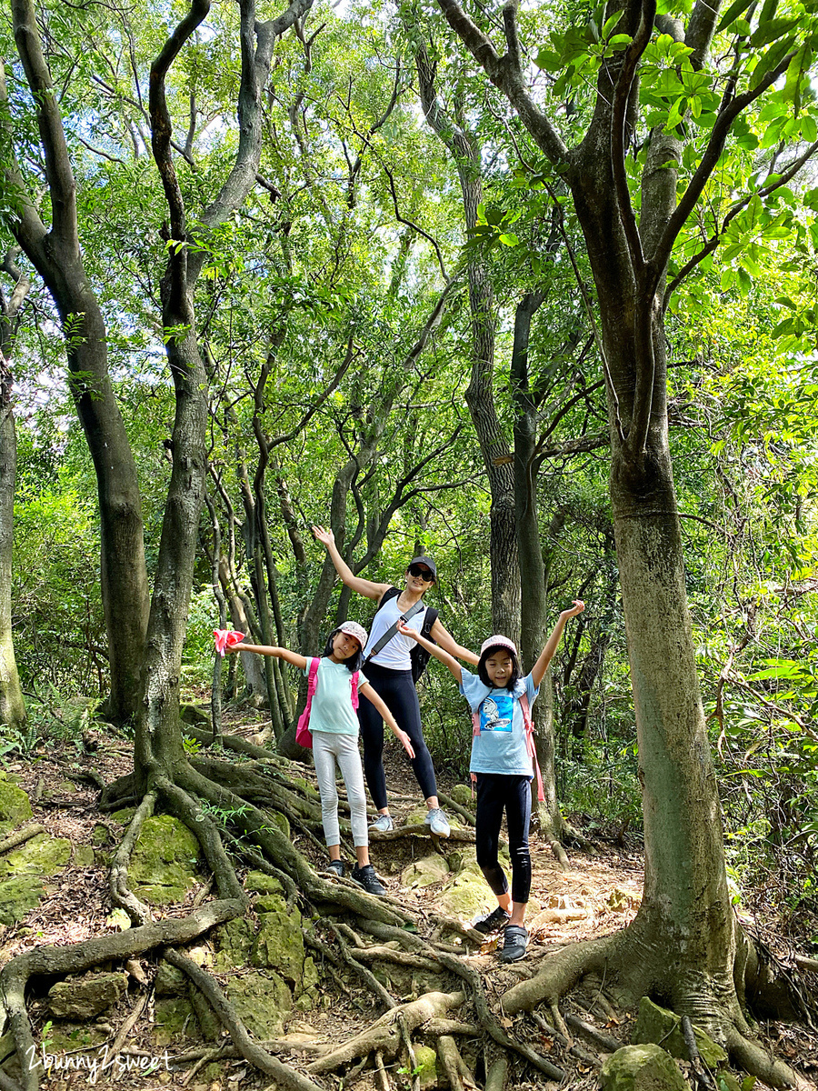 新北鶯歌一日遊》新北微笑山線。親子玩山趣｜鶯歌親子登山步道路線推薦～鶯歌石步道、孫龍步道，順遊鶯歌陶瓷老街、鶯歌陶瓷博物館、古鐘樓公園 @兔兒毛毛姊妹花