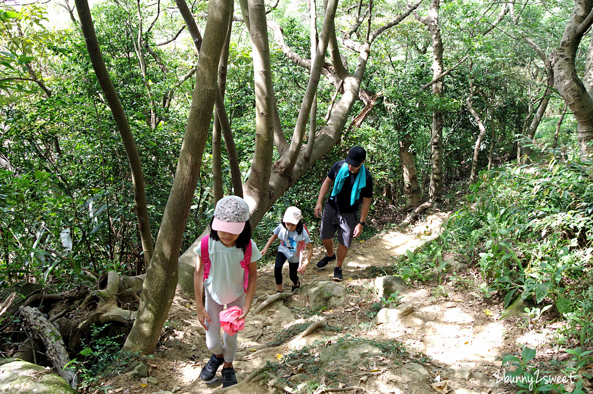 新北鶯歌一日遊》新北微笑山線。親子玩山趣｜鶯歌親子登山步道路線推薦～鶯歌石步道、孫龍步道，順遊鶯歌陶瓷老街、鶯歌陶瓷博物館、古鐘樓公園 @兔兒毛毛姊妹花