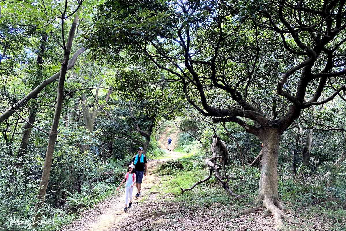 新北鶯歌一日遊》新北微笑山線。親子玩山趣｜鶯歌親子登山步道路線推薦～鶯歌石步道、孫龍步道，順遊鶯歌陶瓷老街、鶯歌陶瓷博物館、古鐘樓公園 @兔兒毛毛姊妹花