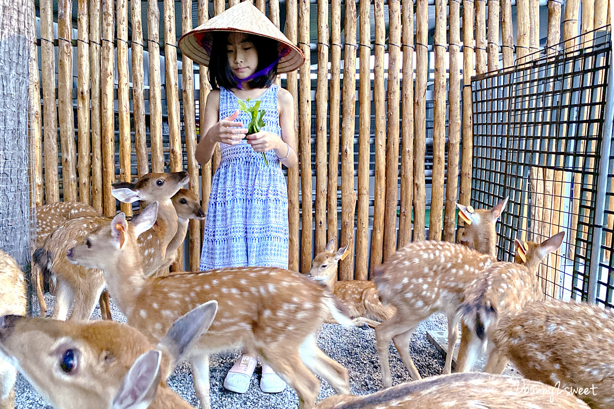 宜蘭親子景點》張美阿嬤農場～全台唯一能穿和服在日式庭園裡餵梅花鹿、水豚君的農場!! 另有 DIY 及農村體驗活動可報名｜停車場｜收費方式｜預約報名表連結|三星一日遊 @兔兒毛毛姊妹花