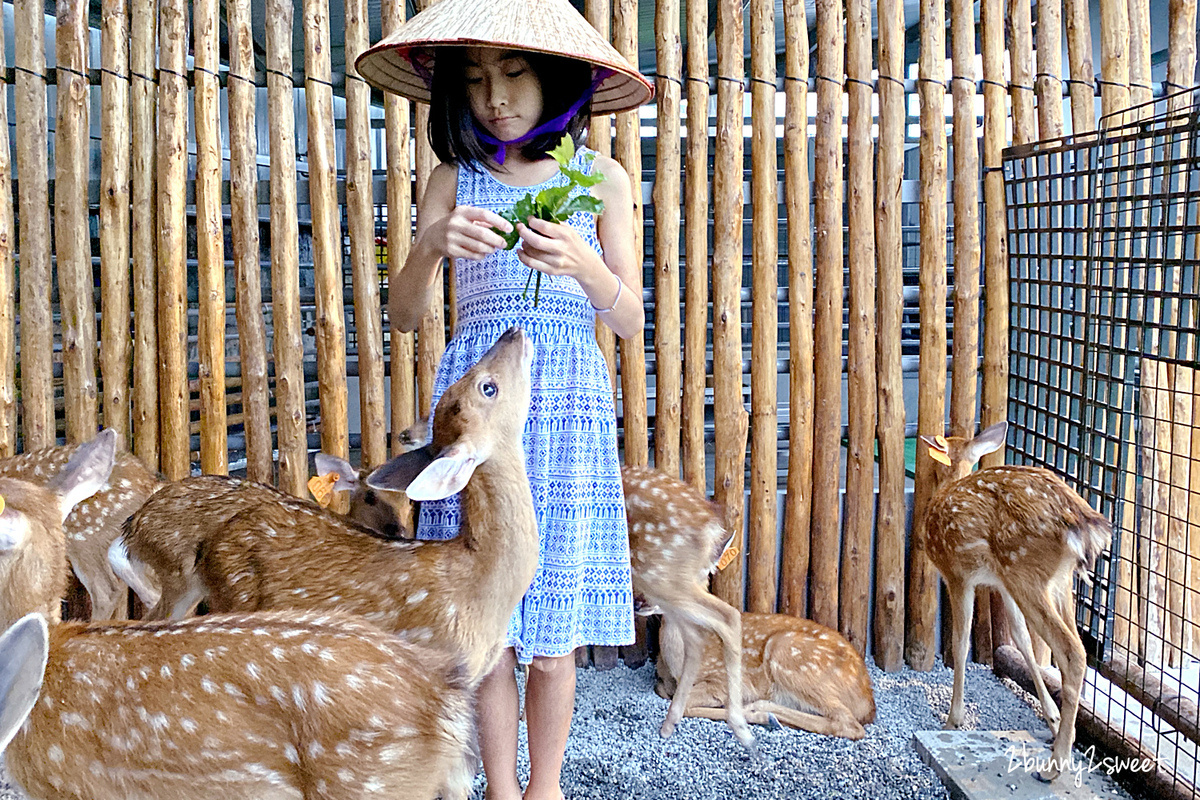 宜蘭親子景點》張美阿嬤農場～全台唯一能穿和服在日式庭園裡餵梅花鹿、水豚君的農場!! 另有 DIY 及農村體驗活動可報名｜停車場｜收費方式｜預約報名表連結|三星一日遊 @兔兒毛毛姊妹花