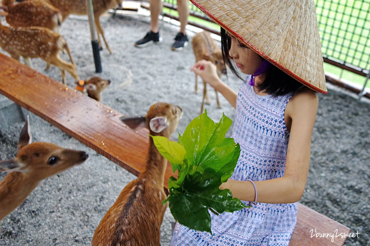 宜蘭親子景點》張美阿嬤農場～全台唯一能穿和服在日式庭園裡餵梅花鹿、水豚君的農場!! 另有 DIY 及農村體驗活動可報名｜停車場｜收費方式｜預約報名表連結|三星一日遊 @兔兒毛毛姊妹花