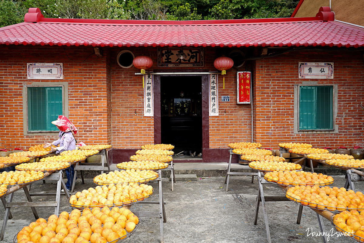 新竹親子景點》味衛佳柿餅觀光農場~秋冬限定的金黃曬柿場景，還有柿餅製作導覽、柿染 DIY｜新竹新埔 IG 打卡免費景點 @兔兒毛毛姊妹花