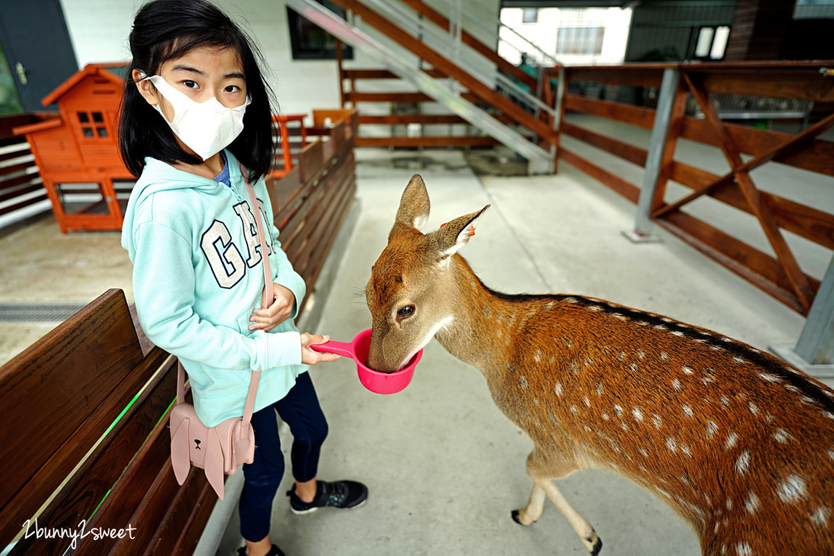 宜蘭親子景點》心花鹿 FUN～梅花湖畔全新開幕餵動物農場，梅花鹿、草泥馬、綿羊、羊駝、兔子、天竺鼠、袋鼠、鸚鵡都可以近距離互動｜宜蘭冬山景點｜梅花湖一日遊 @兔兒毛毛姊妹花