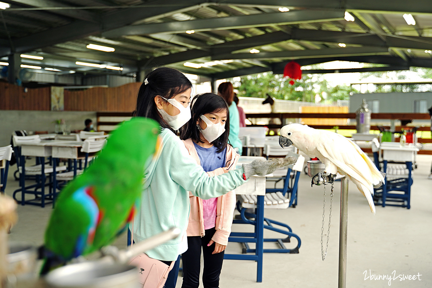 宜蘭親子景點》心花鹿 FUN～梅花湖畔全新開幕餵動物農場，梅花鹿、草泥馬、綿羊、羊駝、兔子、天竺鼠、袋鼠、鸚鵡都可以近距離互動｜宜蘭冬山景點｜梅花湖一日遊 @兔兒毛毛姊妹花