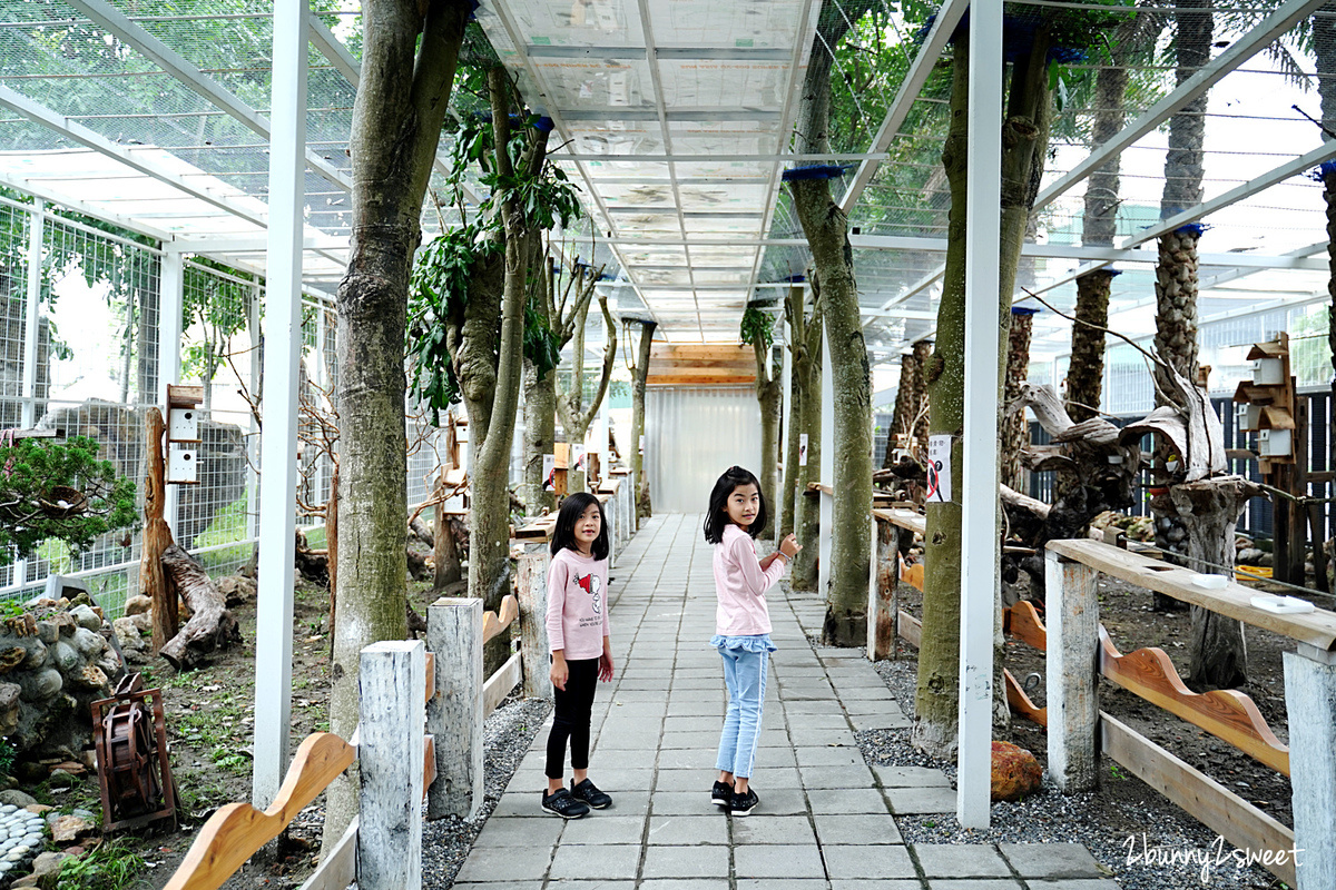 宜蘭親子景點》宜蘭綺麗觀光園區～寶石博物館大進化!! 鳥園、農場、氣墊床、室內樂園、卡丁車賽道、水槍射擊場、攀爬探索場～蘇澳雨天室內景點推薦 @兔兒毛毛姊妹花