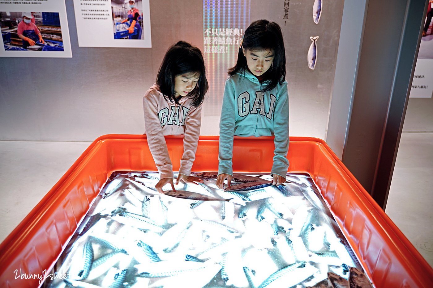 宜蘭親子景點》大鯖魚夢工廠～來去免費鯖魚觀光工廠找魚去，互動展覽、手作DIY、鯖魚特色料理餐廳 @兔兒毛毛姊妹花