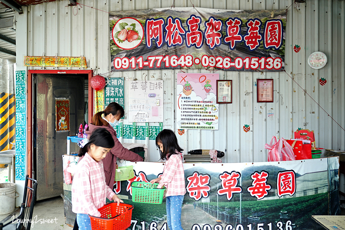 苗栗親子景點》大湖阿松高架草莓園～台三線大馬路旁、附設免費停車場、價格合理、熟果多又大的自採草莓園推薦，近大湖酒莊 @兔兒毛毛姊妹花