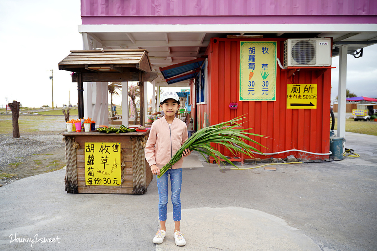 花蓮親子景點》崇德瑩農場～美得像紐西蘭!! 山海美景、遼闊大草原，還能餵馬、餵羊、餵孔雀，在玻璃泡泡球裡喝咖啡～花蓮必遊IG景點 @兔兒毛毛姊妹花