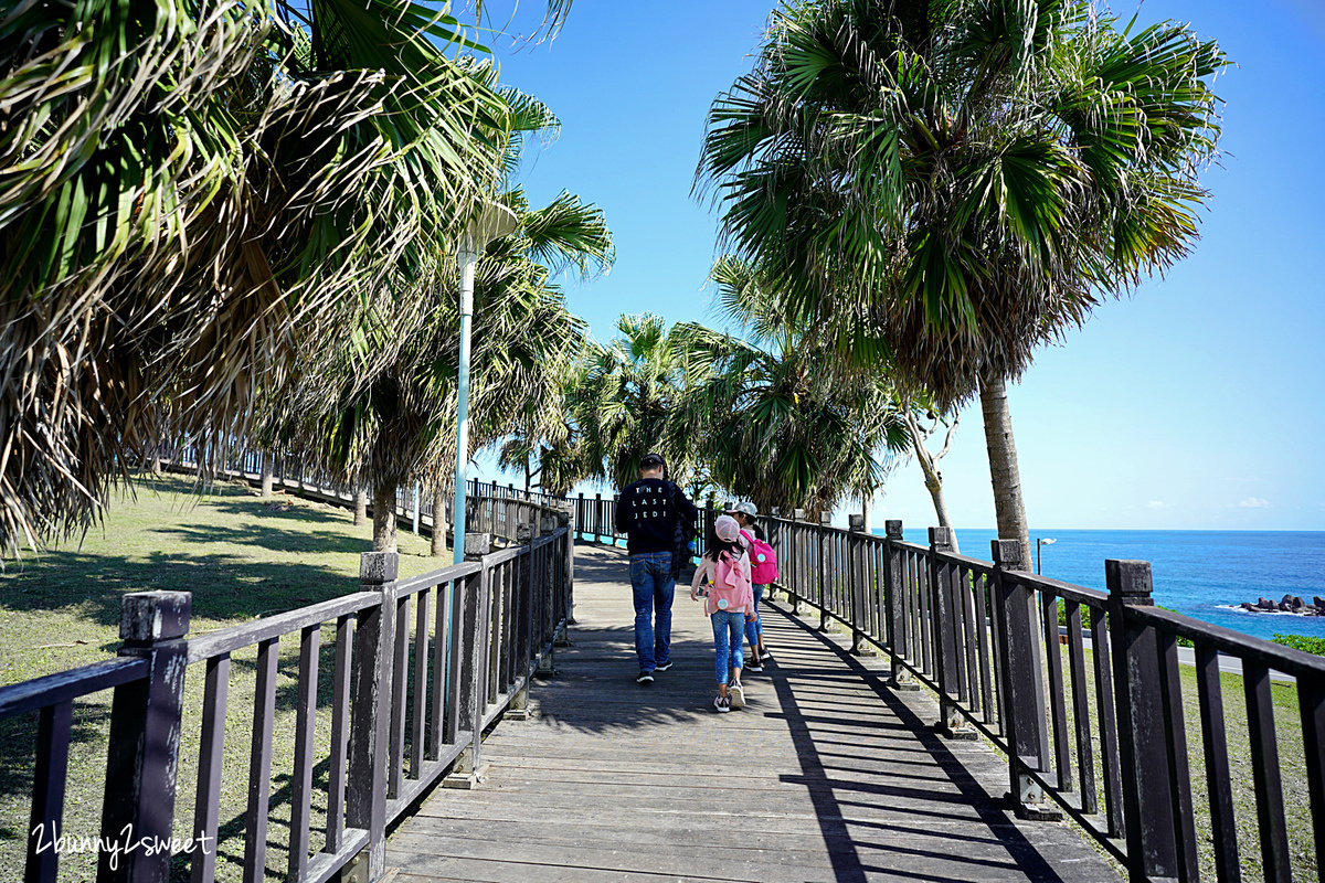 太平洋公園南濱兒童遊戲場｜花蓮最新特色公園～看海玩環形溜索、盪鞦韆、溜滑梯 @兔兒毛毛姊妹花