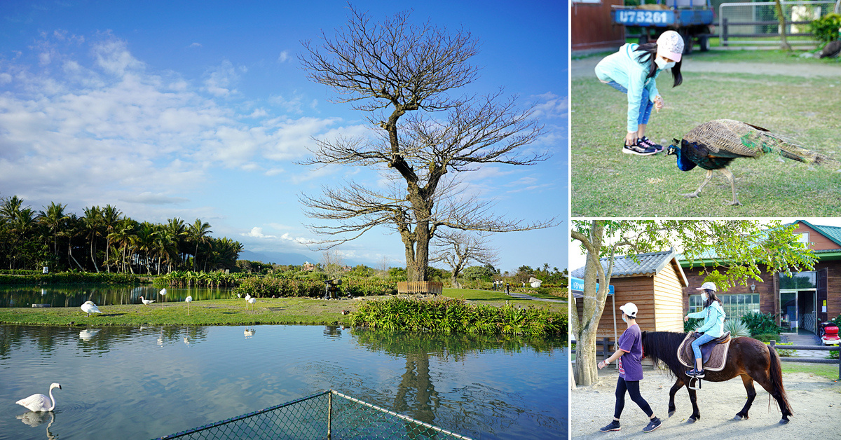 知卡宣綠森林親水公園｜花蓮玩水景點～大人50、小孩免費暢玩千坪水樂園＋共融遊戲場，2024戲水區開放 @兔兒毛毛姊妹花