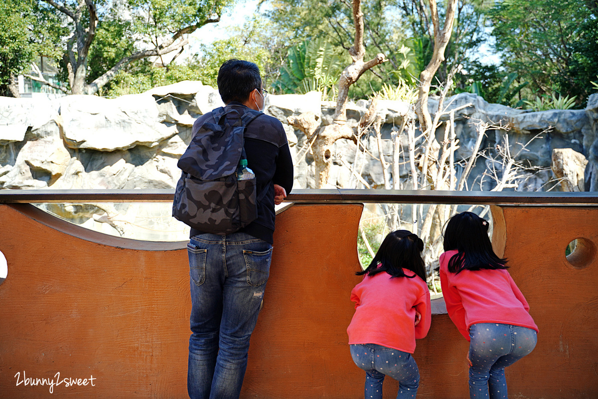 新竹景點【新竹市立動物園】全台最老動物園大變身，銅板價門票看動物、玩遊戲場 @兔兒毛毛姊妹花