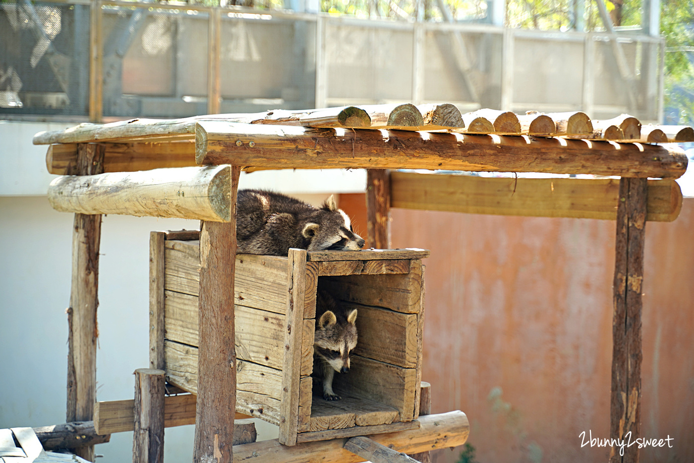 新竹景點【新竹市立動物園】全台最老動物園大變身，銅板價門票看動物、玩遊戲場 @兔兒毛毛姊妹花